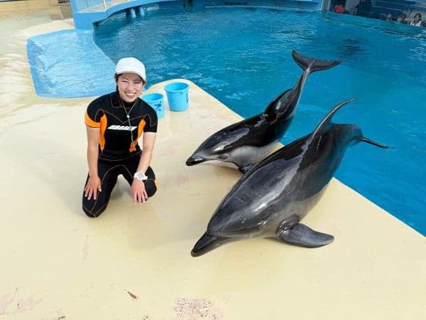 夢をかなえるおもちゃ箱　第18回：イルカの調教師・岩城さん